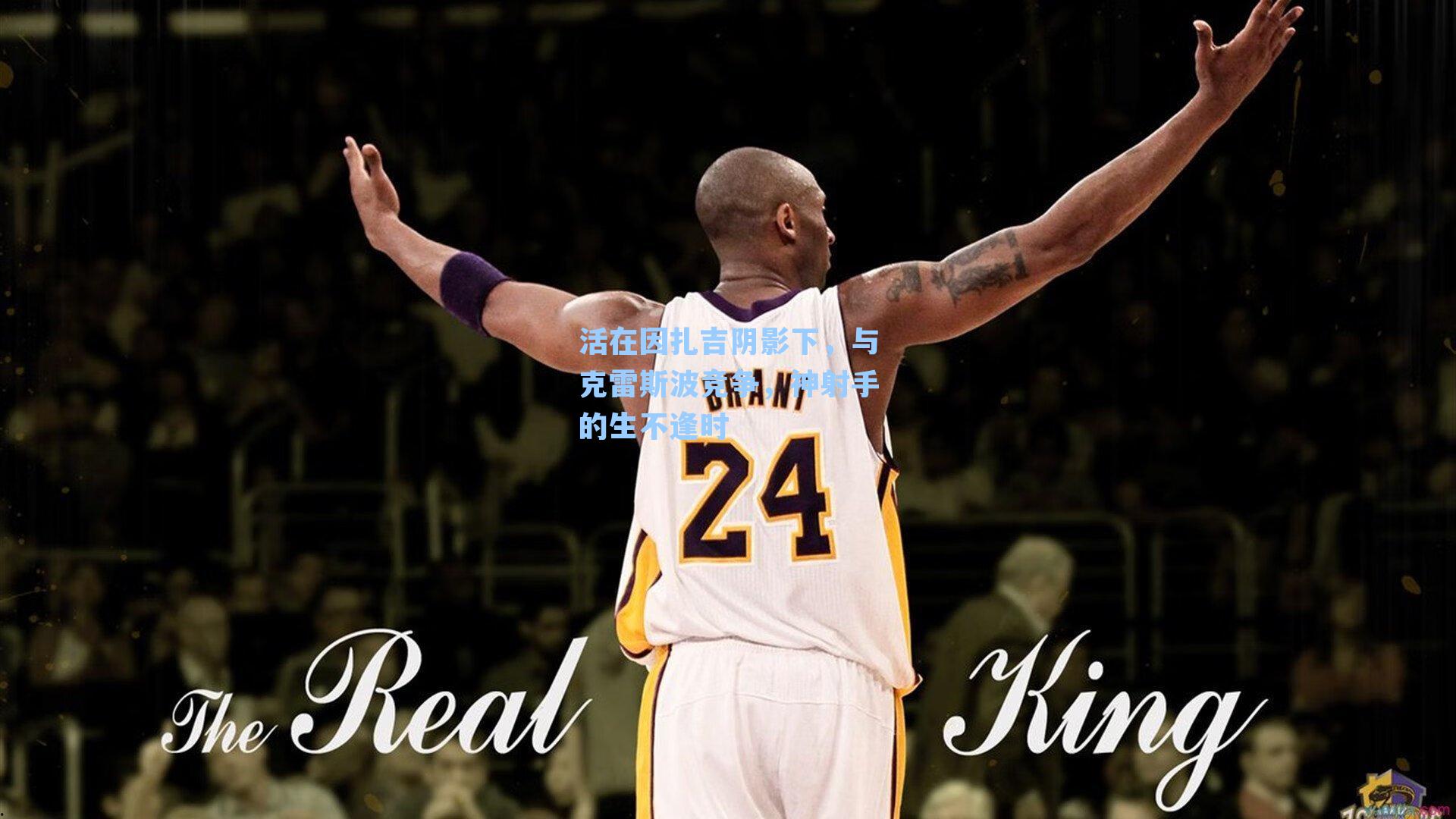 活在因扎吉阴影下，与克雷斯波竞争，神射手的生不逢时