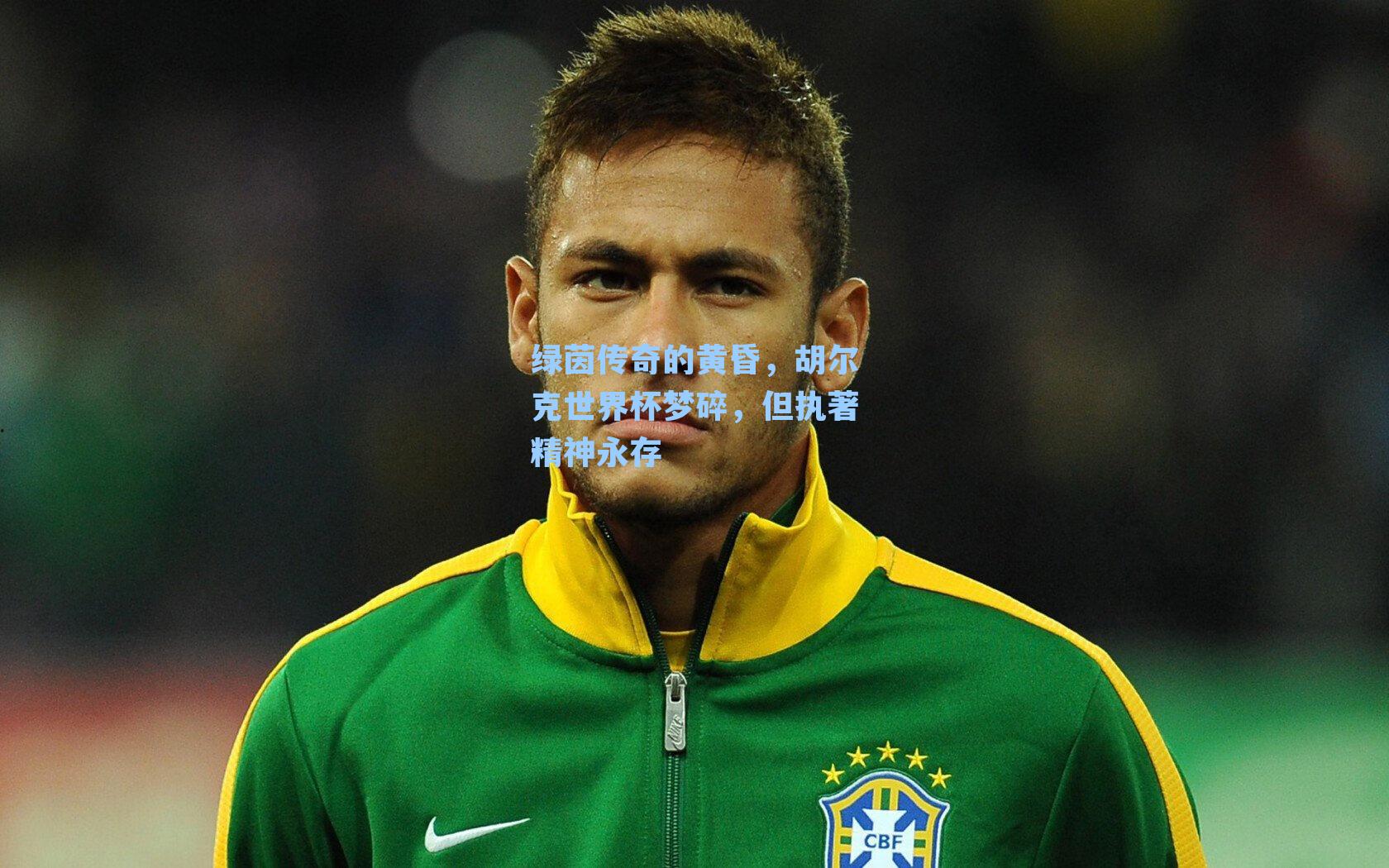 绿茵传奇的黄昏，胡尔克世界杯梦碎，但执著精神永存
